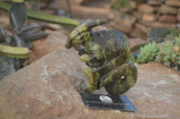 Polished  Leopard Stone Dinosaur Carvings x 2 From Zimbabwe