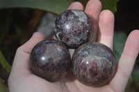 Polished Red Pyrope Garnet Matrix Spheres  x 6 From Madagascar