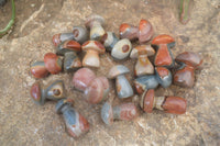 Polished Mini Polychrome / Picasso Jasper Mushrooms  x 20 From Mahajanga, Madagascar