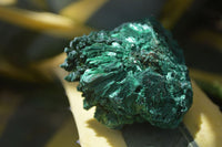 Natural Chatoyant Silky Malachite Specimens  x 6 From Kasompe, Congo - TopRock