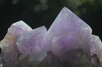 Natural Jacaranda Amethyst Clusters x 2 From Mumbwa, Zambia - TopRock