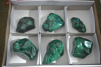 Polished Flower Malachite Free Forms  x 6 From Congo