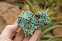 Natural Rough Blue Shattuckite Specimens  x 12 From Kaokoveld, Namibia - TopRock