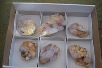 Natural Spirit Amethyst / Ametrine Quartz Clusters  x 6 From Boekenhouthoek, South Africa - Toprock Gemstones and Minerals 