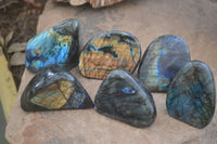 Polished Labradorite Standing Free Forms  x 6 From Madagascar