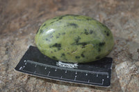 Polished Spotted Leopard Stone Free Forms  x 4 From Zimbabwe