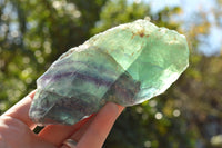 Natural Rough Watermelon Fluorite Cobbed Specimens  x 4 From Uis, Namibia - TopRock