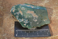 Polished  One Side Polished Emerald Mtorolite Plates  x 6 From Zimbabwe