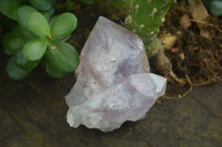 Natural Single Jacaranda Amethyst Crystals  x 12 From Zambia - Toprock Gemstones and Minerals 