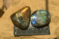 Polished Flashy Labradorite Palm Stones  x 24 From Tulear, Madagascar - TopRock