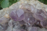 Natural Jacaranda Amethyst Cluster x 1 From Mumbwa, Zambia - TopRock