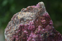 Natural Extra Large Salrose Cobaltion Dolomite Specimens x 2 From Kakanda, Congo - Toprock Gemstones and Minerals 