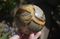 Polished Septaria Spheres x 2 From Mahajanga, Madagascar