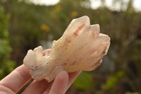 Natural Red Hematoid Phantom Quartz Clusters  x 4 From Zambia - TopRock