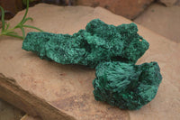 Natural Chatoyant Silky Malachite Specimens  x 2 From Congo - Toprock Gemstones and Minerals 