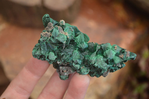 Natural Chatoyant Silky Malachite Specimens  x 13 From Kasompe, Congo - Toprock Gemstones and Minerals 