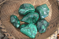 Polished Flower Malachite Free Forms  x 6 From Congo