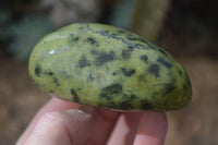 Polished Spotted Leopard Stone Free Forms  x 4 From Zimbabwe