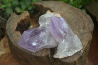 Natural Single Jacaranda Amethyst Crystals  x 12 From Zambia - Toprock Gemstones and Minerals 