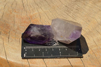 Polished Skeletal Smokey Amethyst Window Quartz Crystals  x 12 From Madagascar - TopRock