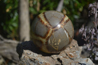 Polished Septaria Spheres x 2 From Mahajanga, Madagascar