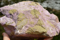 Natural Extra Large Rough Stichtite & Serpentine Specimen  x 1 From Barberton, South Africa - TopRock