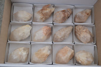 Natural Single Pineapple Candle Quartz Crystals  x 12 From Antsirabe, Madagascar - Toprock Gemstones and Minerals 