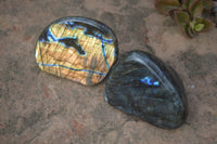 Polished Labradorite Standing Free Forms  x 6 From Madagascar