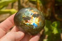 Polished Flashy Labradorite Palm Stones  x 24 From Tulear, Madagascar - TopRock