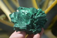 Natural Chatoyant Silky Malachite Specimens  x 6 From Kasompe, Congo - TopRock