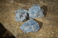 Natural New Sky Blue Calcite Specimens  x 70 From Spitzkop, Namibia