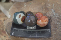 Polished Mini Polychrome / Picasso Jasper Mushrooms  x 20 From Mahajanga, Madagascar