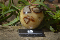 Polished Septaria Spheres x 2 From Mahajanga, Madagascar