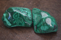 Polished Flower Malachite Free Forms  x 6 From Congo