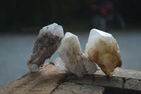 Natural Highly Selected Candle Quartz Crystals  x 35 From Madagascar - Toprock Gemstones and Minerals 