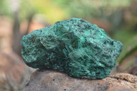 Natural Chatoyant Silky Malachite Specimens  x 6 From Kasompe, Congo - TopRock