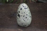 Polished Spotted Leopard Stone Free Forms  x 4 From Zimbabwe