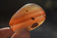 Polished Red Sache River Agate Nodules x 12 From Sashe River, Zimbabwe