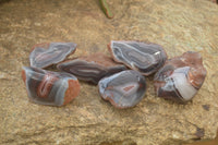 Polished River Agate Nodules  x 6 From Sashe River, Zimbabwe