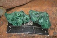 Natural Chatoyant Silky Malachite Specimens  x 13 From Kasompe, Congo - Toprock Gemstones and Minerals 