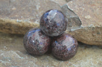 Polished Red Pyrope Garnet Matrix Spheres  x 6 From Madagascar