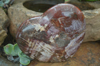 Polished Extra Large Petrified Red Podocarpus Wood Heart  x 1 From Mahajanga, Madagascar - Toprock Gemstones and Minerals 