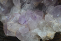 Natural Jacaranda Amethyst Cluster x 1 From Mumbwa, Zambia - TopRock