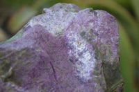 Natural Rough Stichtite & Serpentine Specimens x 4 From Barberton, South Africa