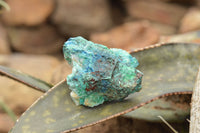 Natural Rough Blue Shattuckite Specimens  x 12 From Kaokoveld, Namibia - TopRock