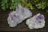 Natural Jacaranda Amethyst Clusters x 2 From Mumbwa, Zambia - TopRock