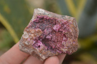 Natural Salrose Cobaltion Dolomite Specimens  x 12 From Kakanda, Congo - TopRock