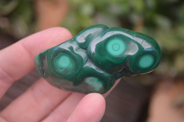 Polished Flower Malachite Free Forms  x 6 From Congo