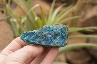 Natural Rough Blue Shattuckite Specimens  x 12 From Kaokoveld, Namibia - TopRock