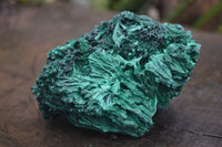 Natural Chatoyant Silky Malachite Specimens  x 2 From Congo - Toprock Gemstones and Minerals 